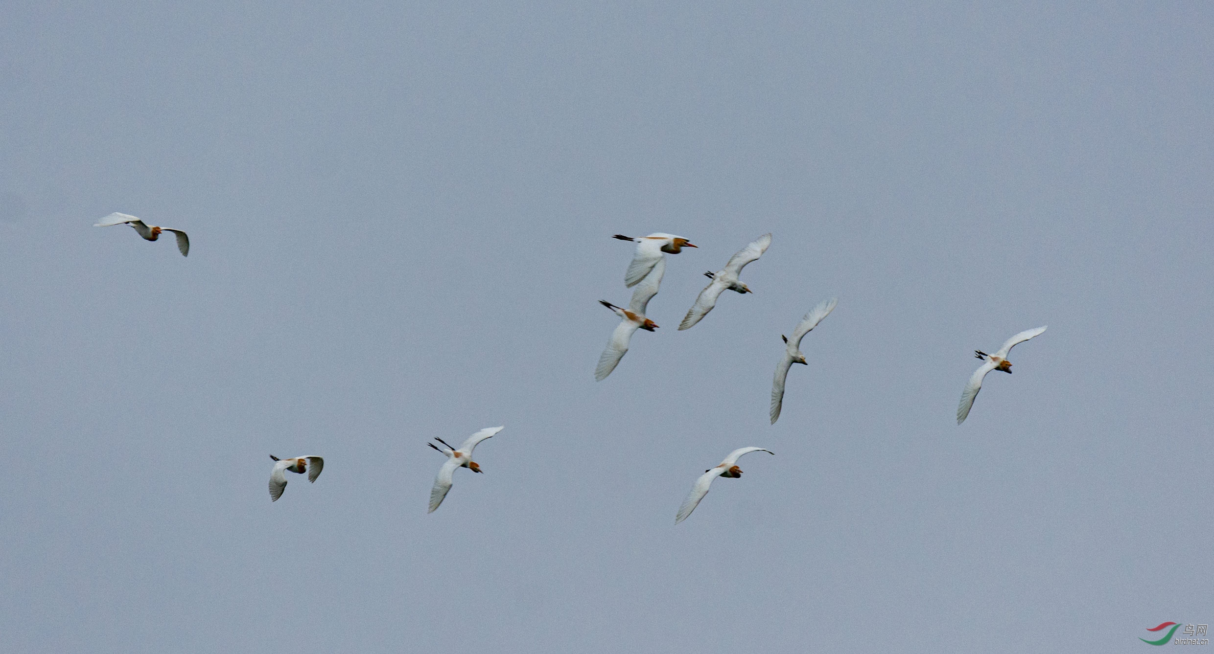 Ī������