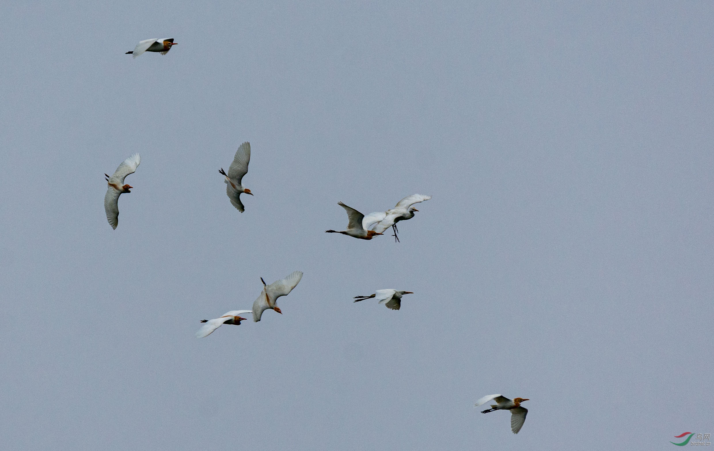 �����ڻ�