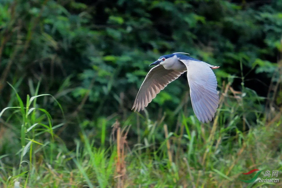DSC_9169.JPG