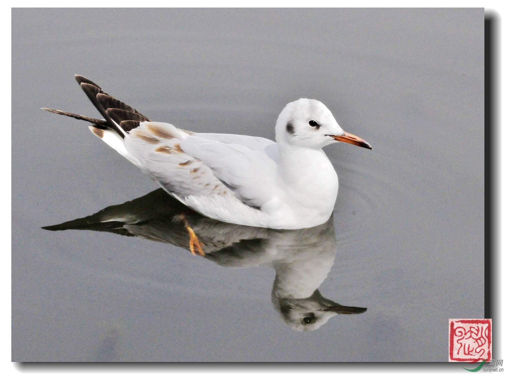 照片 776-1_副本.jpg