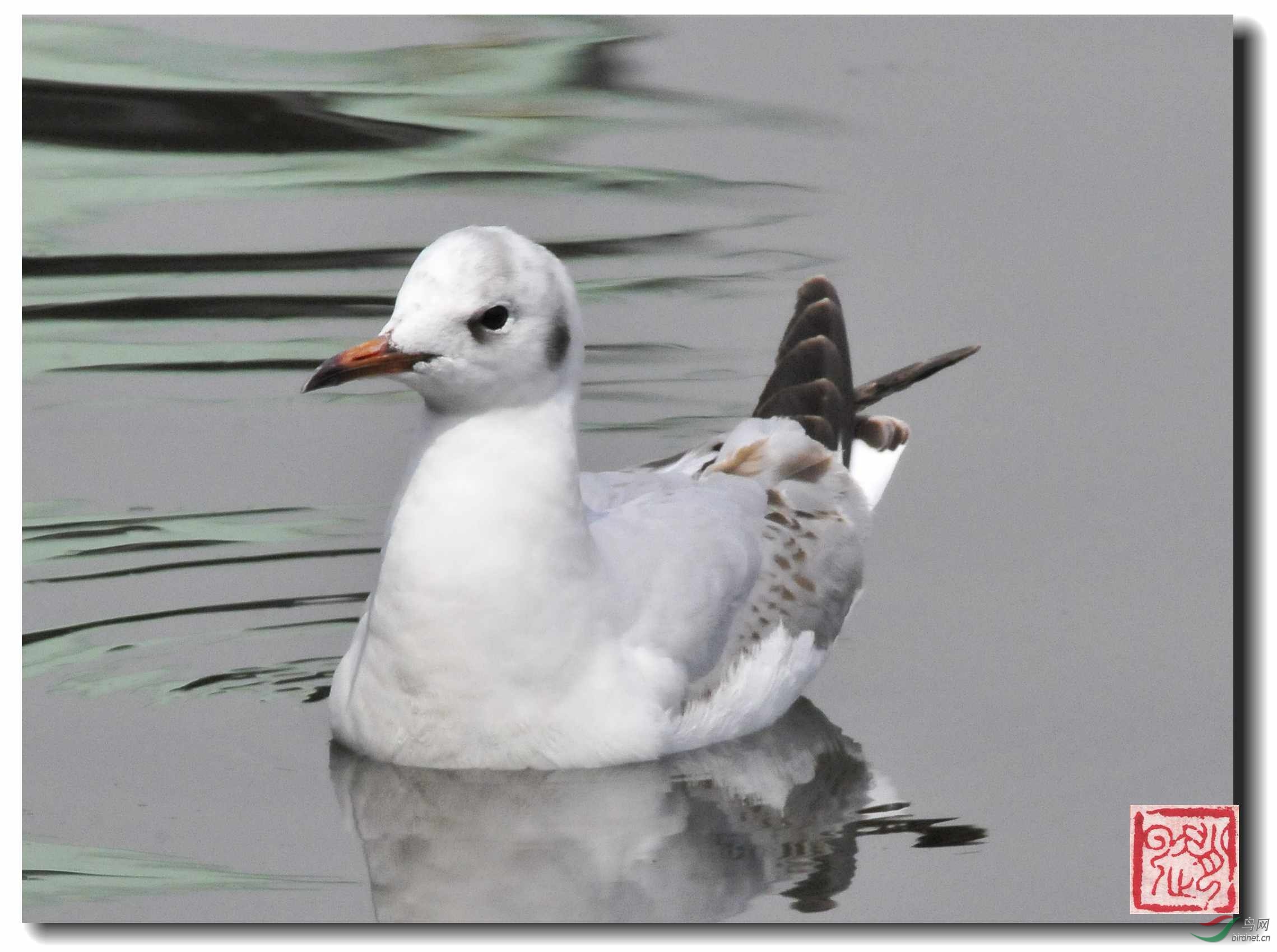 照片 760-1_副本.jpg