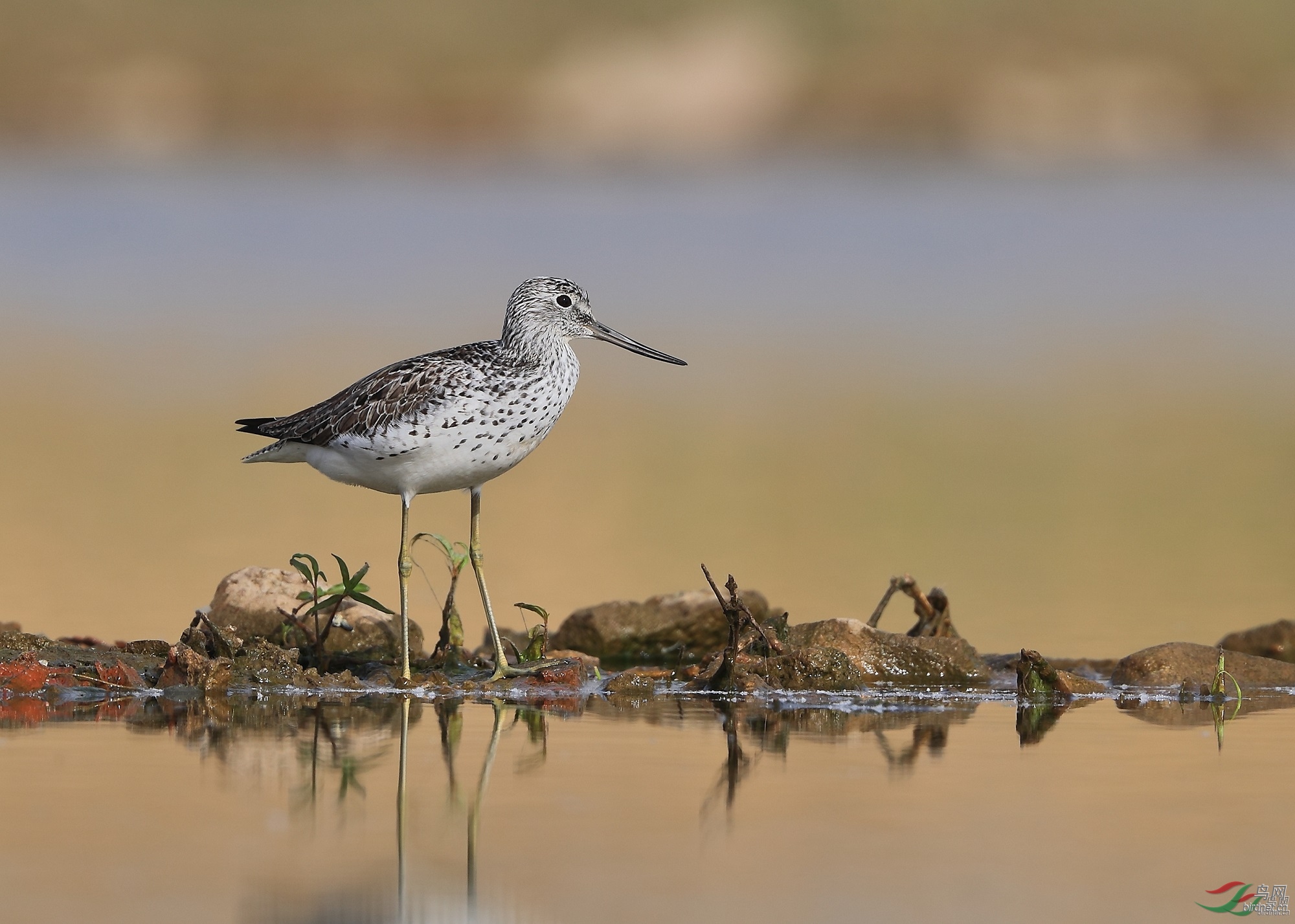 �ǲ� ��ʦ�����ںӱ�ʡʯ��ׯ��500.jpg