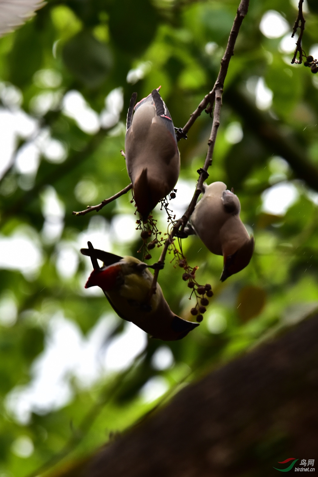 DSC_0673.JPG