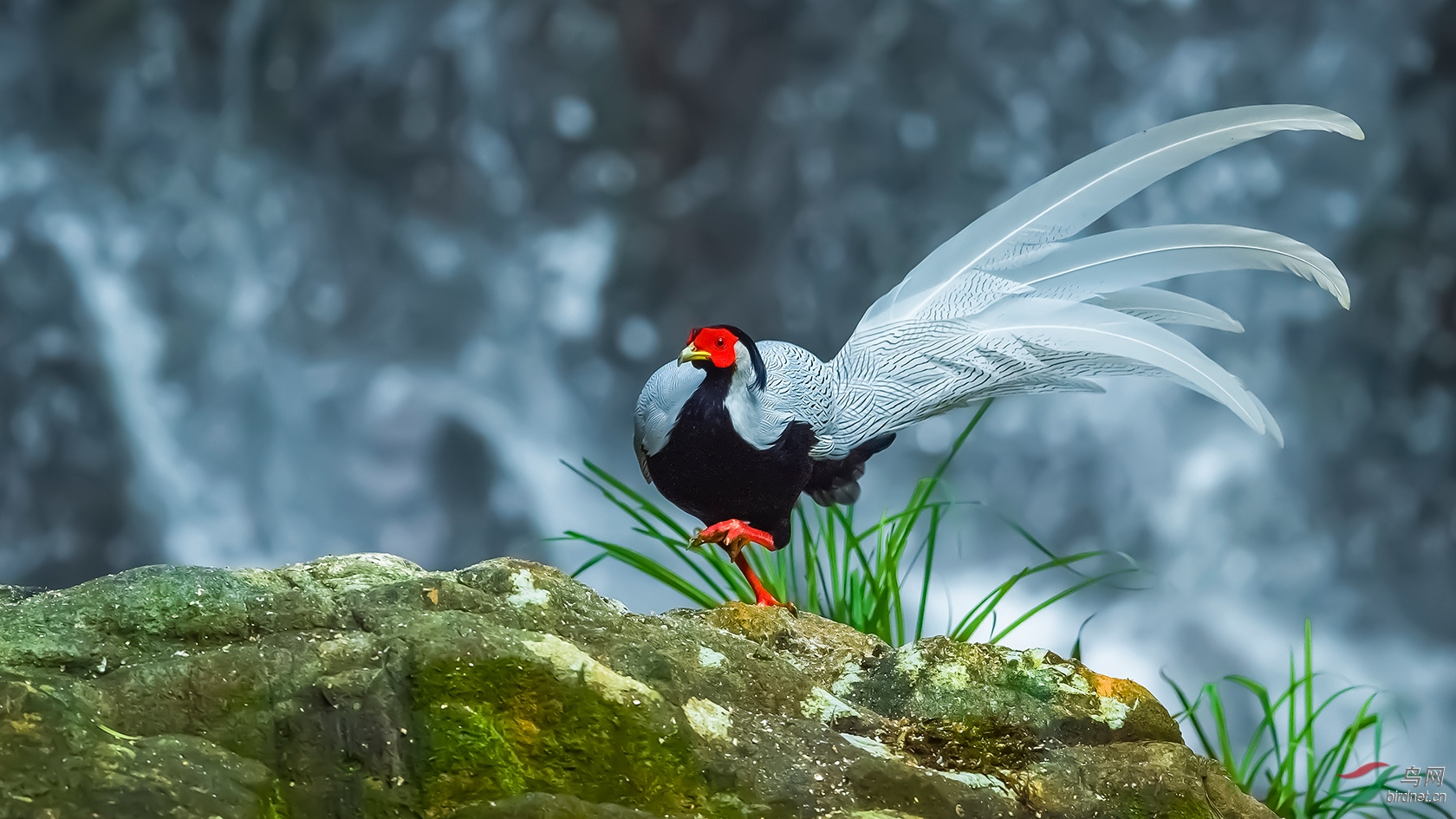 DSC_4012-2.jpg