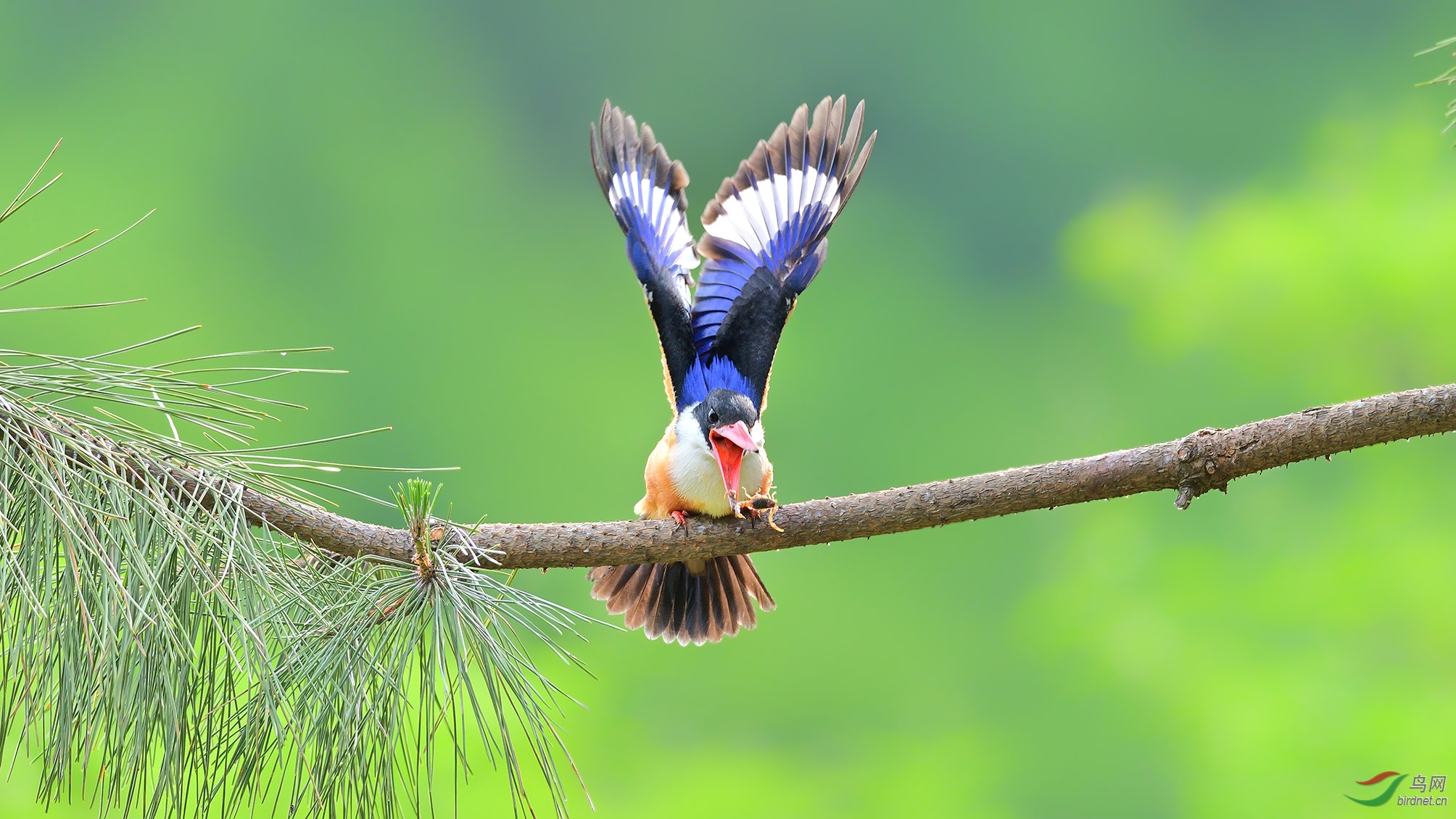 DSC_4723�ϴ�2.jpg
