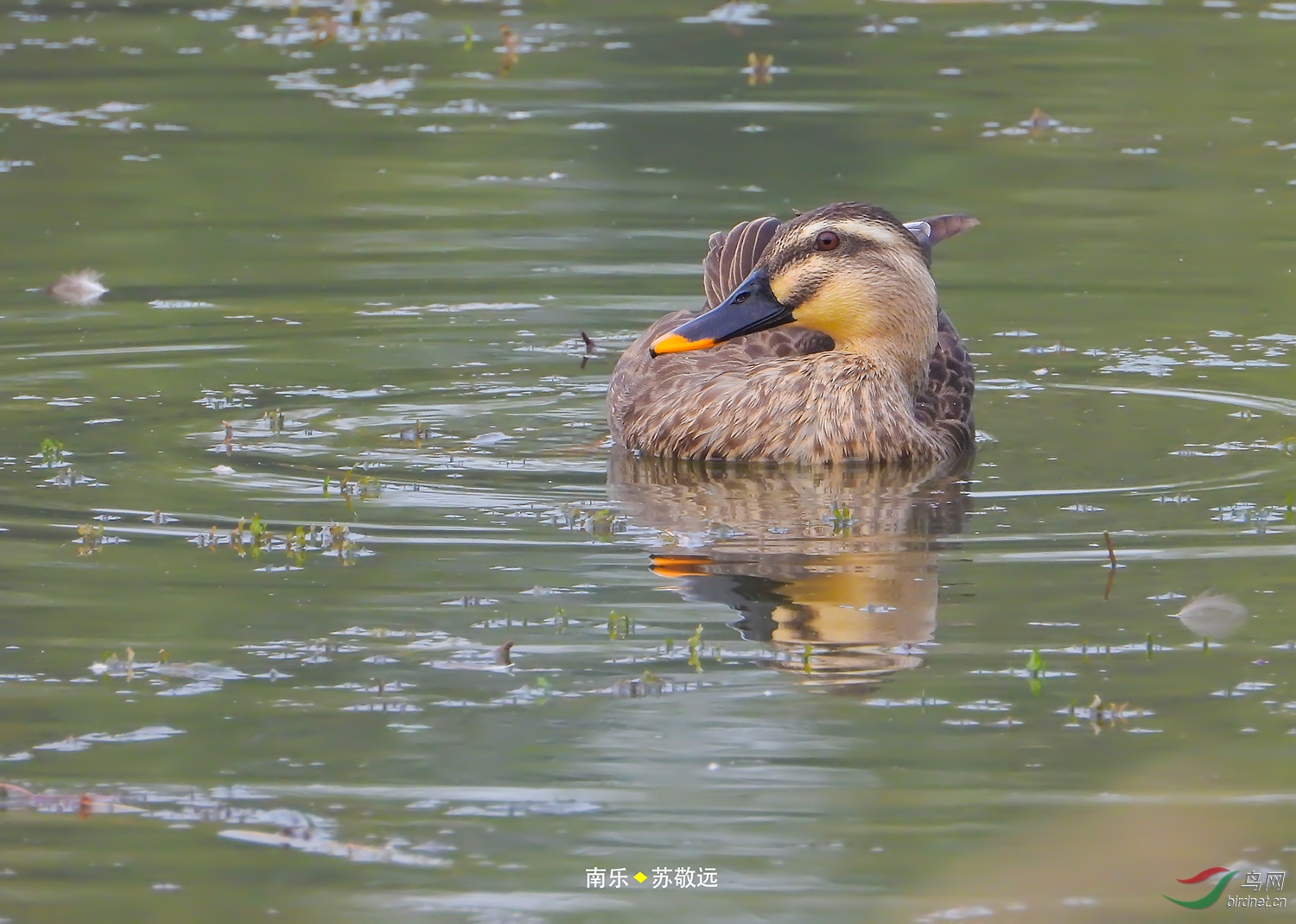 DSCN1721СС.jpg