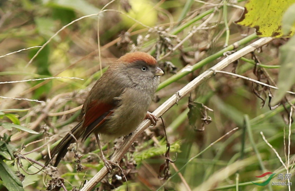 夹江 (17)副本.jpg