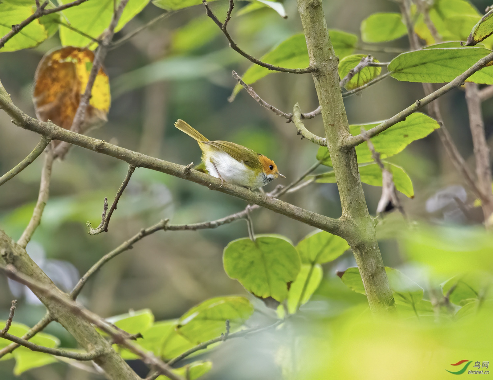 DSC_6797.jpg