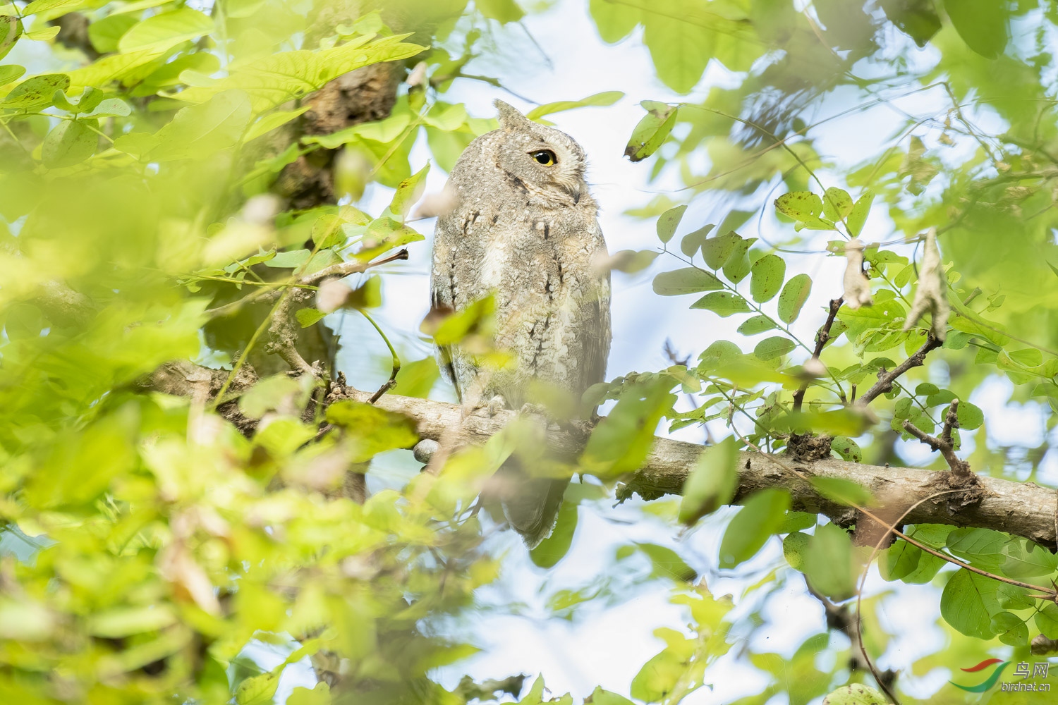 _DSC6262_1.JPG