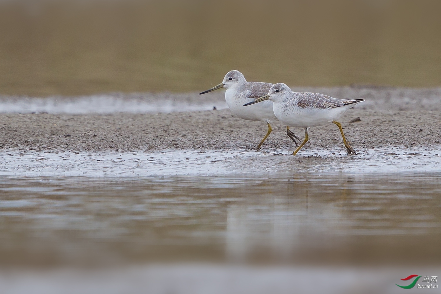 ��һ ��ʦ�������Ϻ����ϻ���.jpg