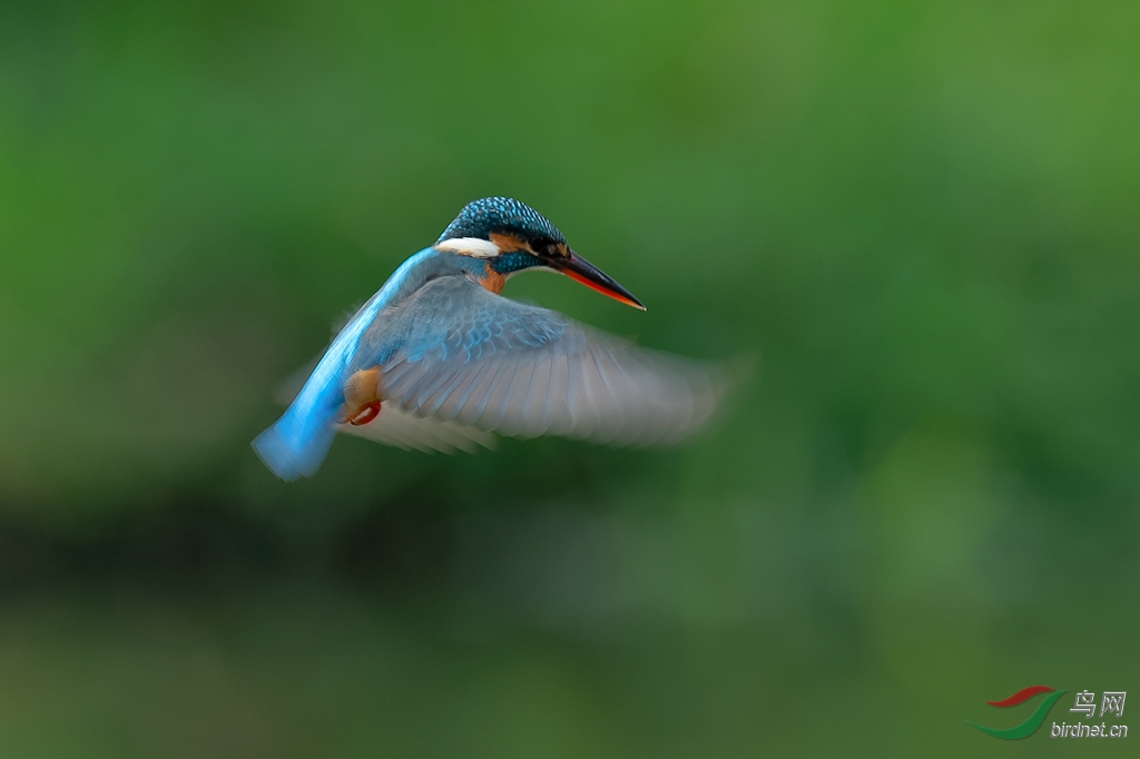 DSC_0619_DxOa.jpg