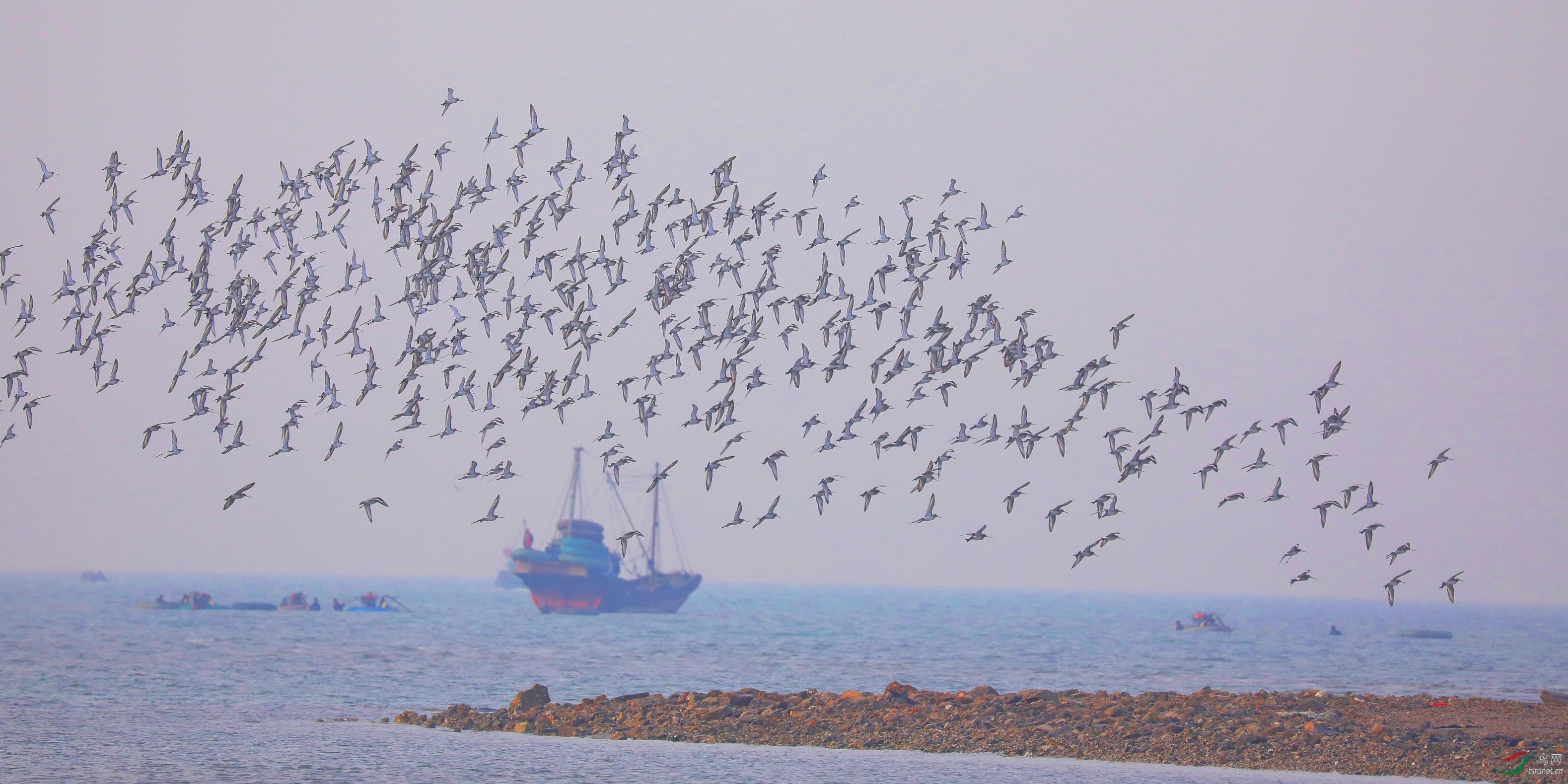 ��β����