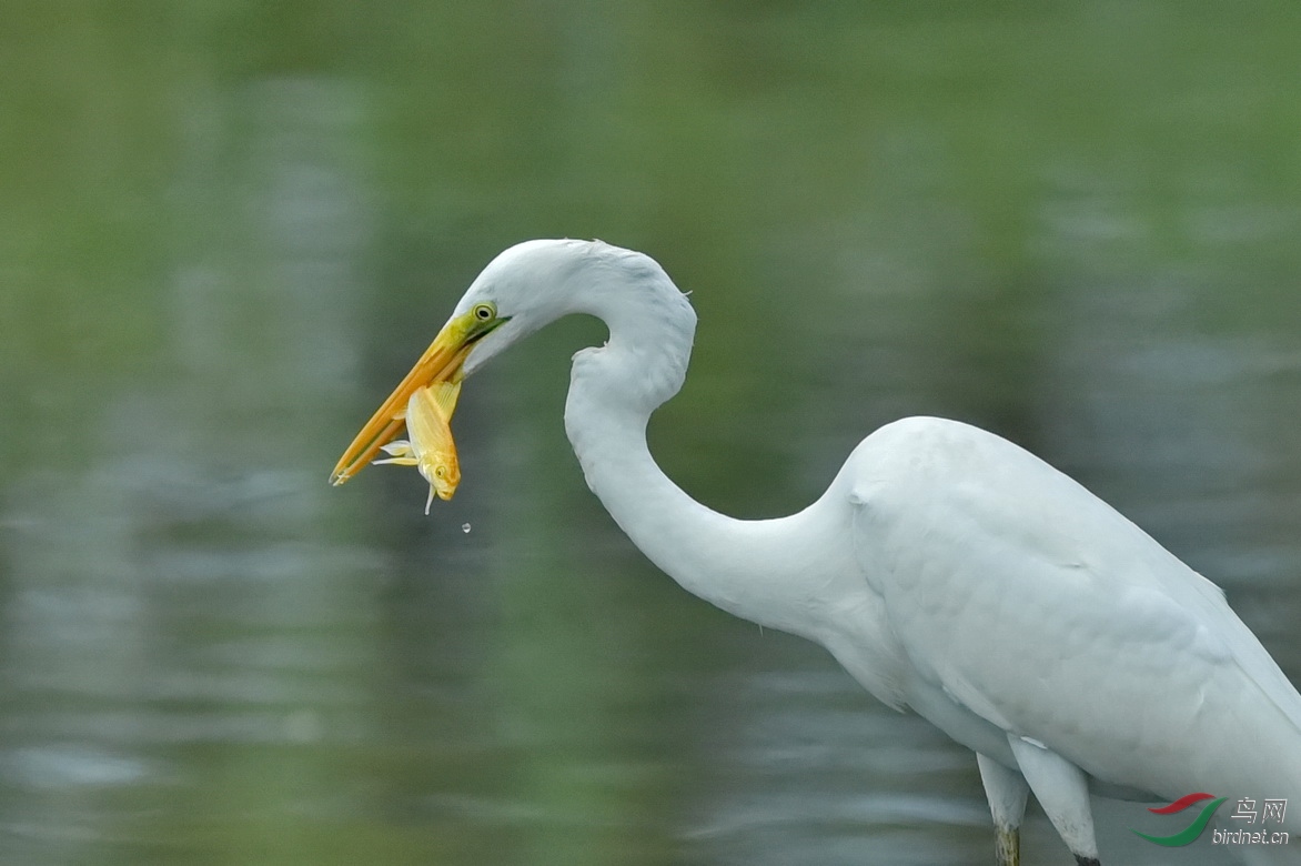 DSC_5614.JPG