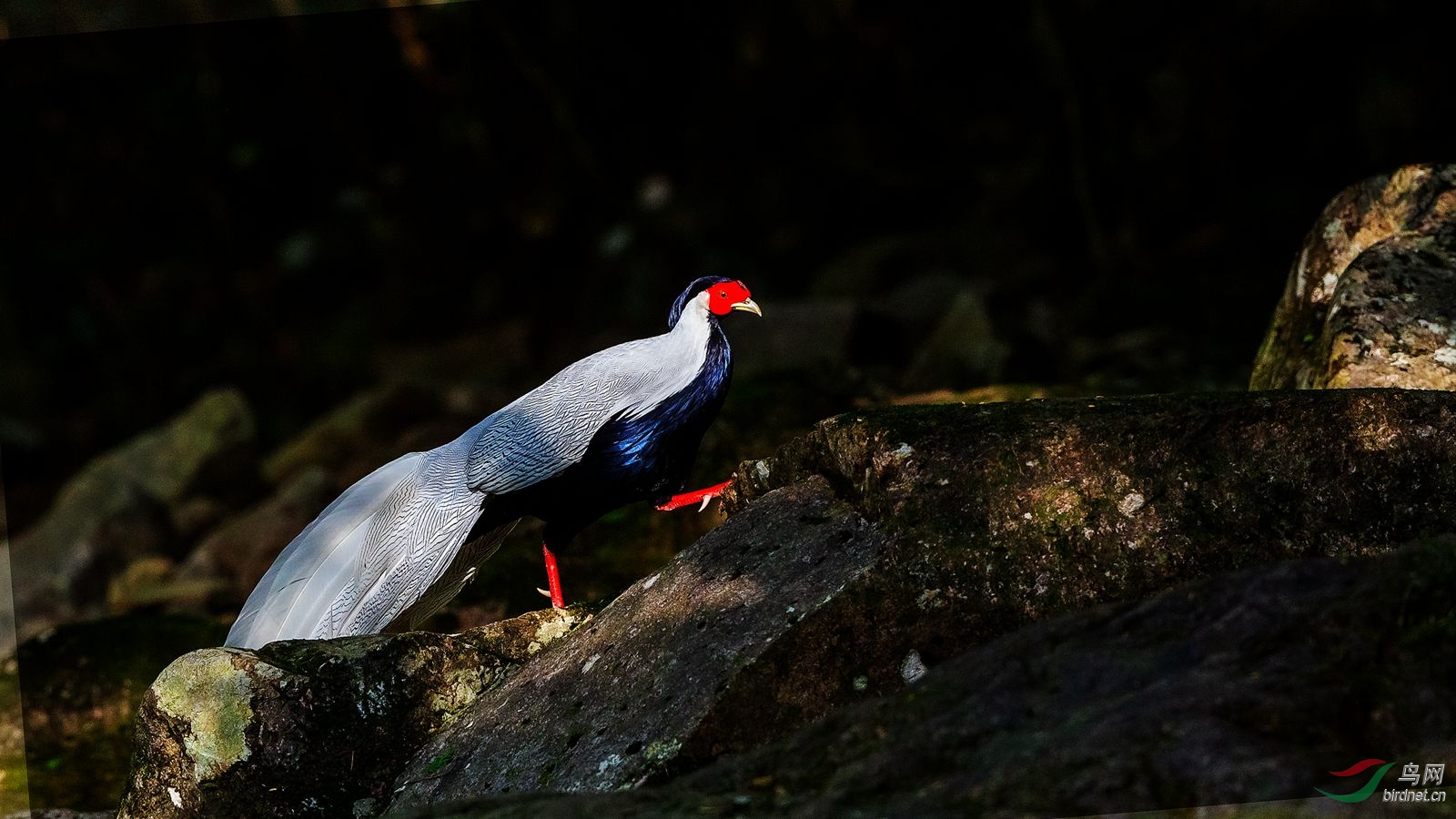 AQ8R1879-1_����.jpg
