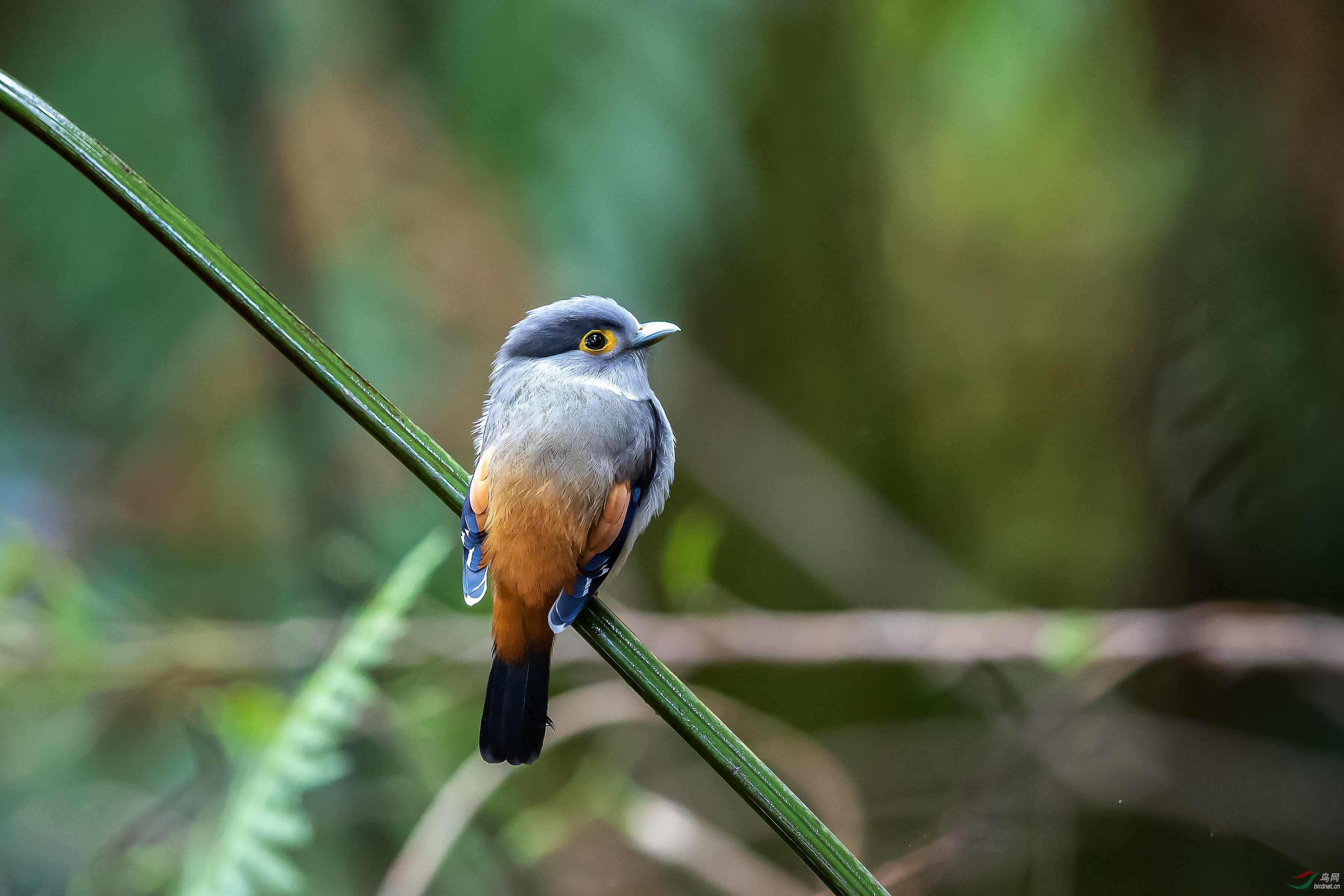 _Q0I4960.jpg
