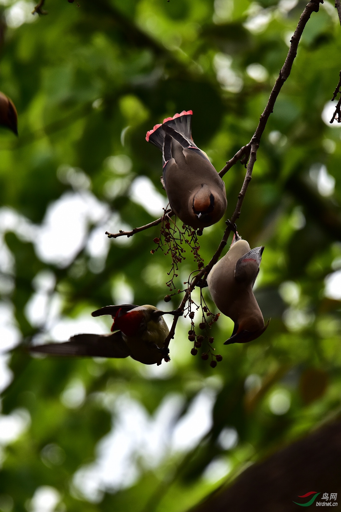 DSC_0679.JPG