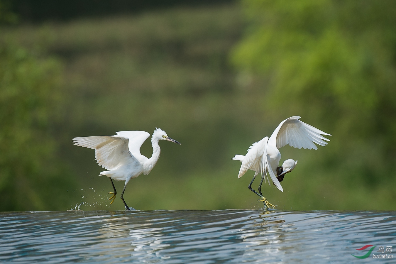 XCG_6341 - ����.jpg