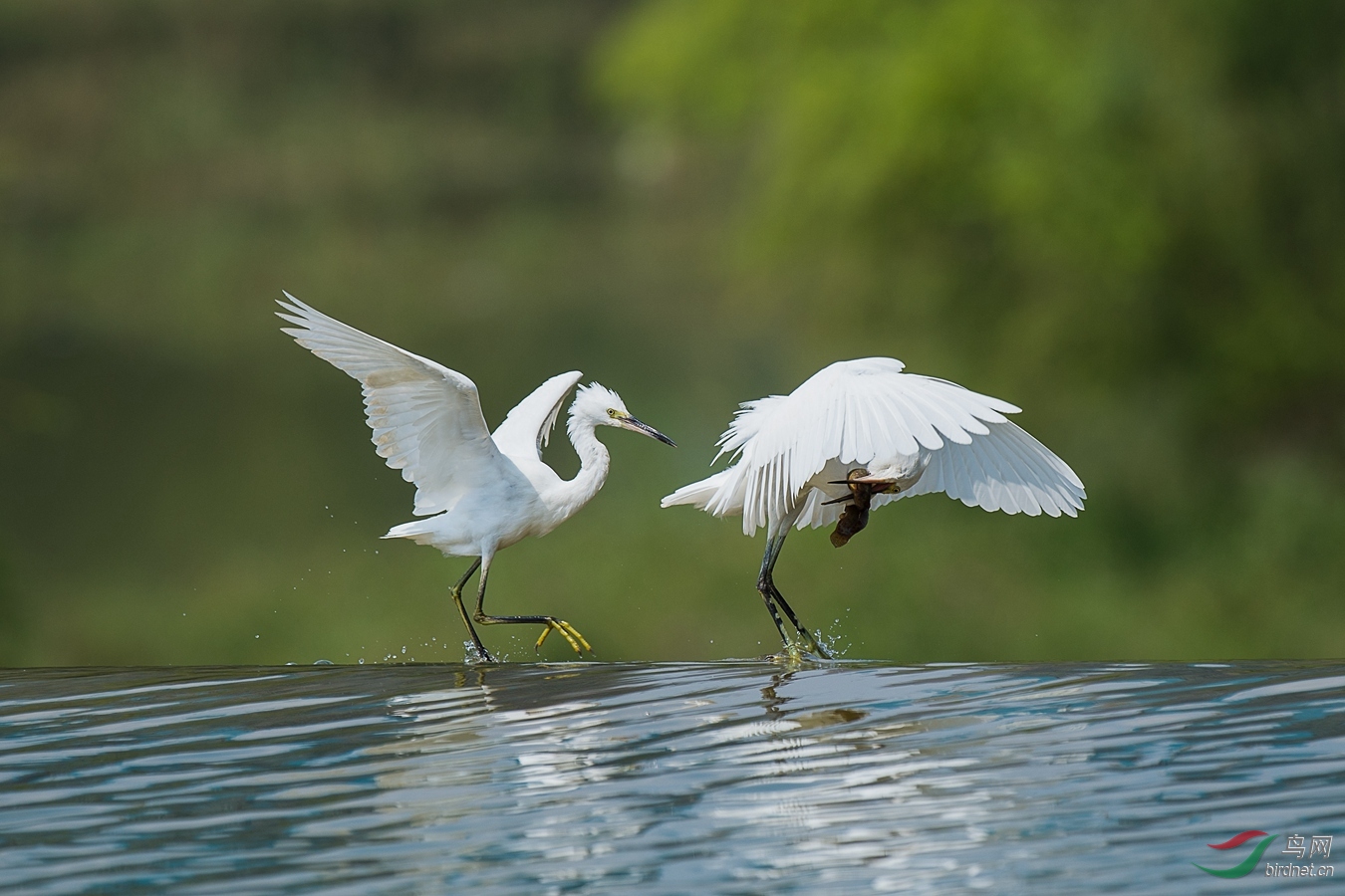 XCG_6342 - ����.jpg