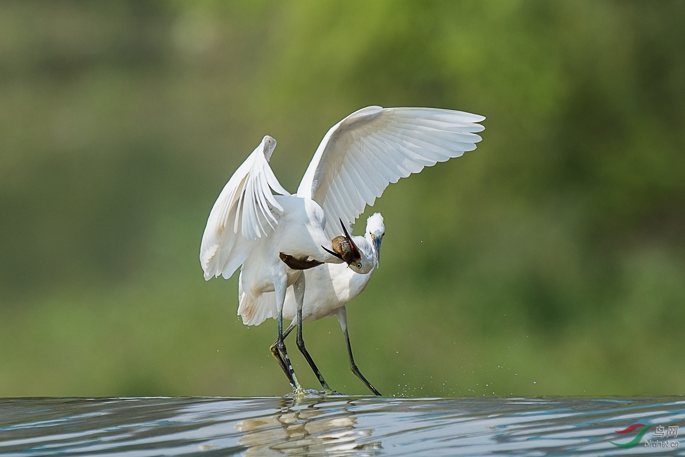 XCG_6346 - ����.jpg