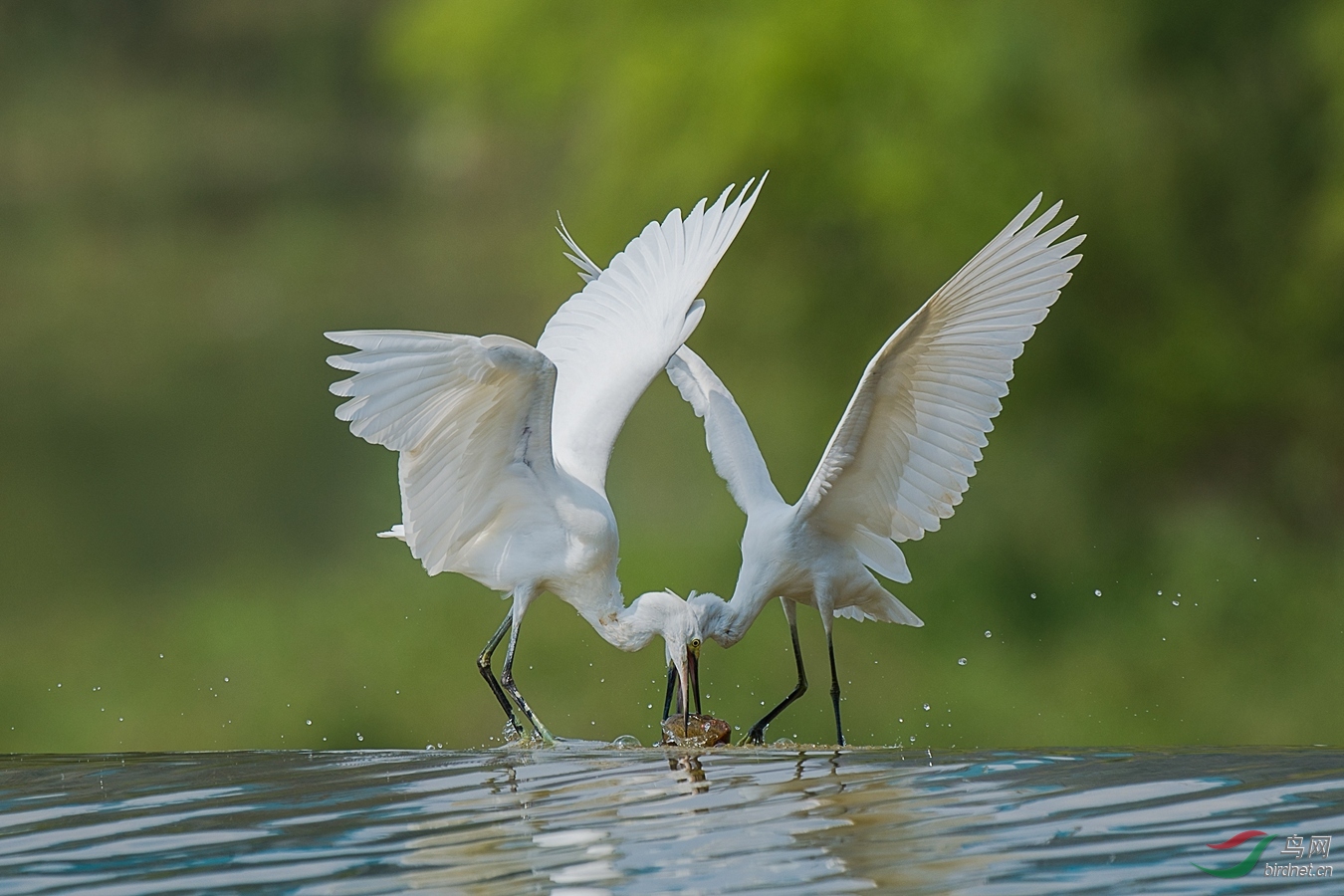 XCG_6357 - ����.jpg