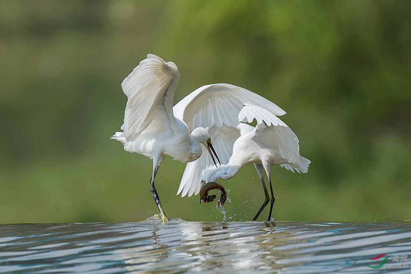 XCG_6359 - ����.jpg