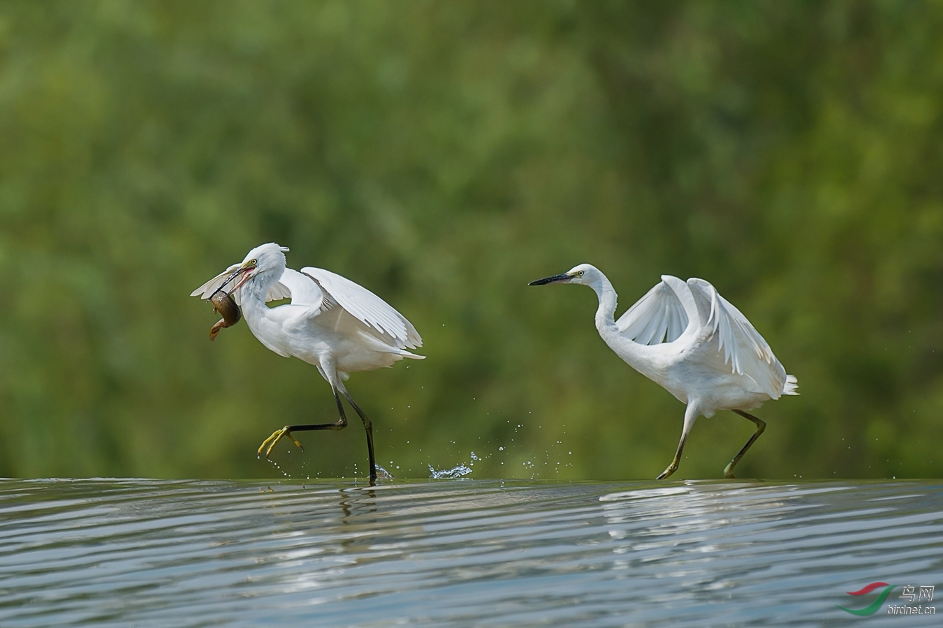 XCG_6377 - ����.jpg