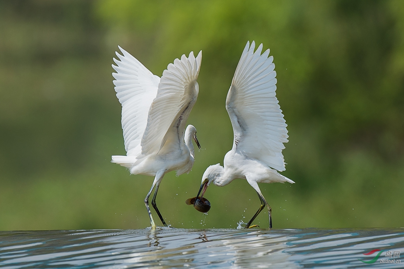 XCG_6361 - ����.jpg