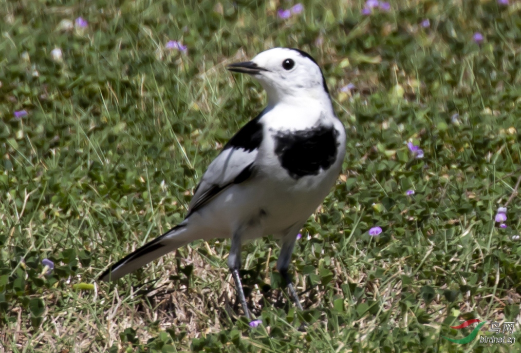 365A0020.jpg