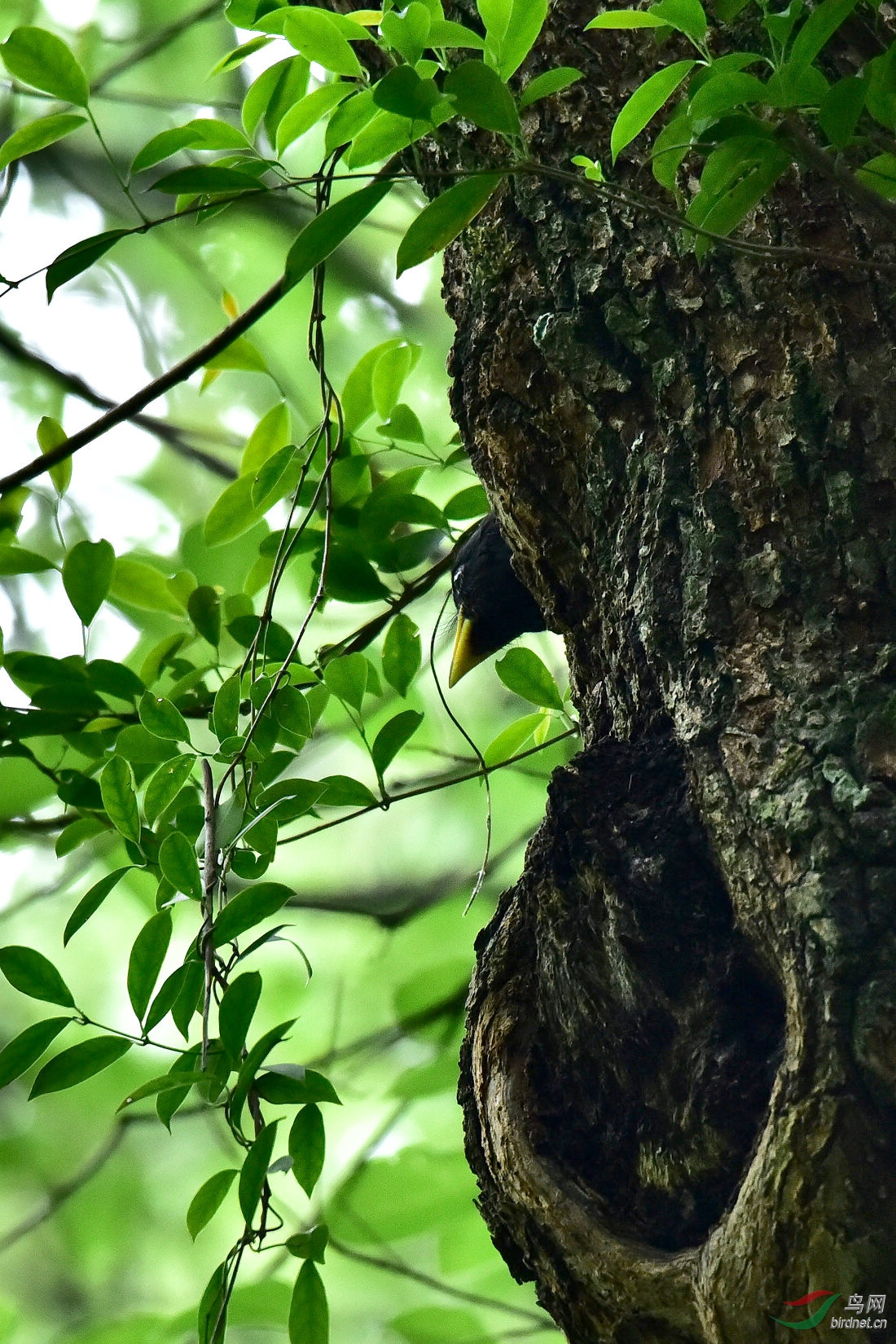 DSC_0043.JPG
