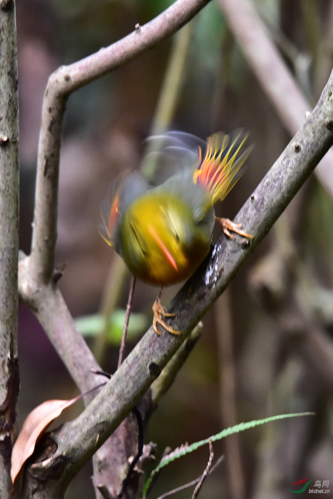 DSC_0683.JPG