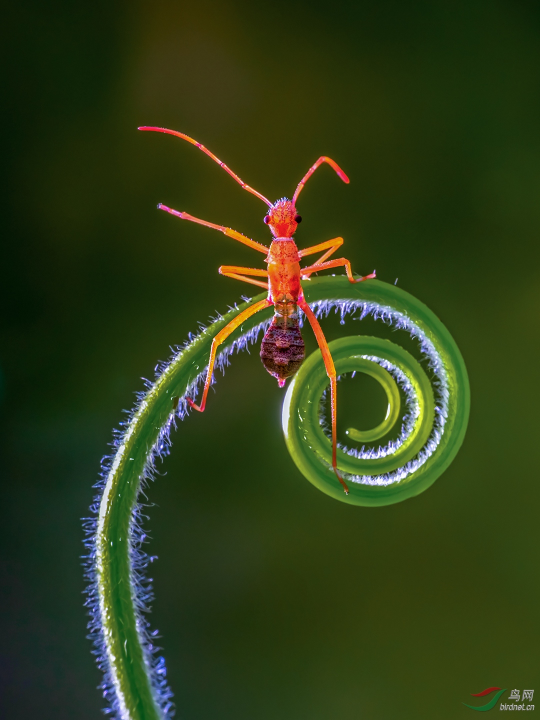 ��������ˣ-1080.jpg