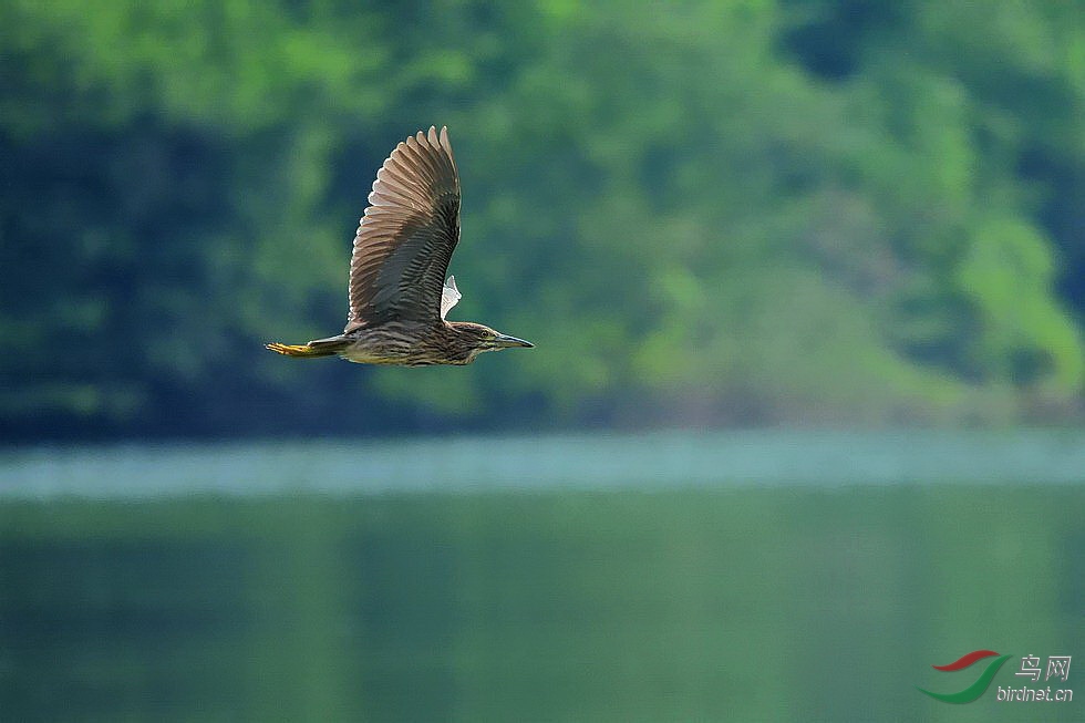 DSC_4810.jpg