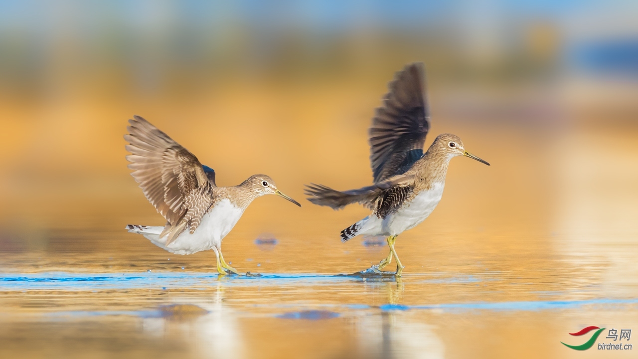 ��ǧ ��ʦ�����ںӱ�ʡ��ɽ��.jpg