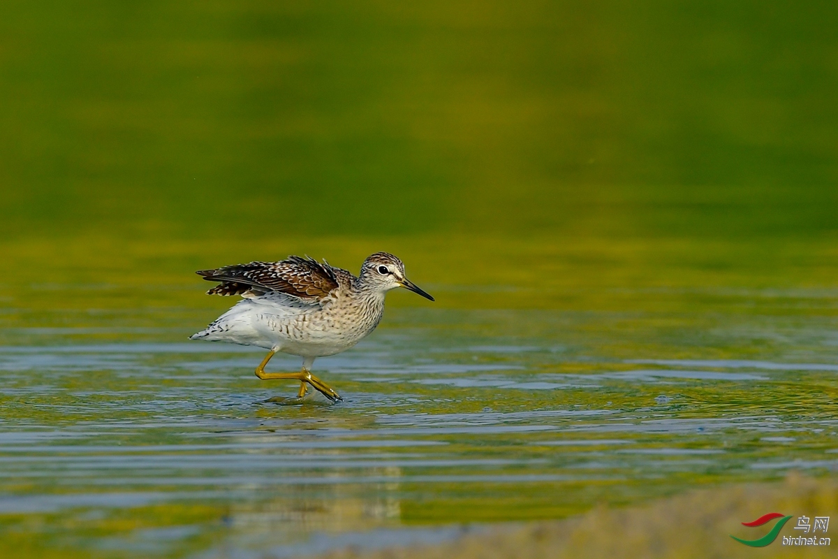 ���� ��ʦ�����ںӱ�ʡ�ȷ���.jpg