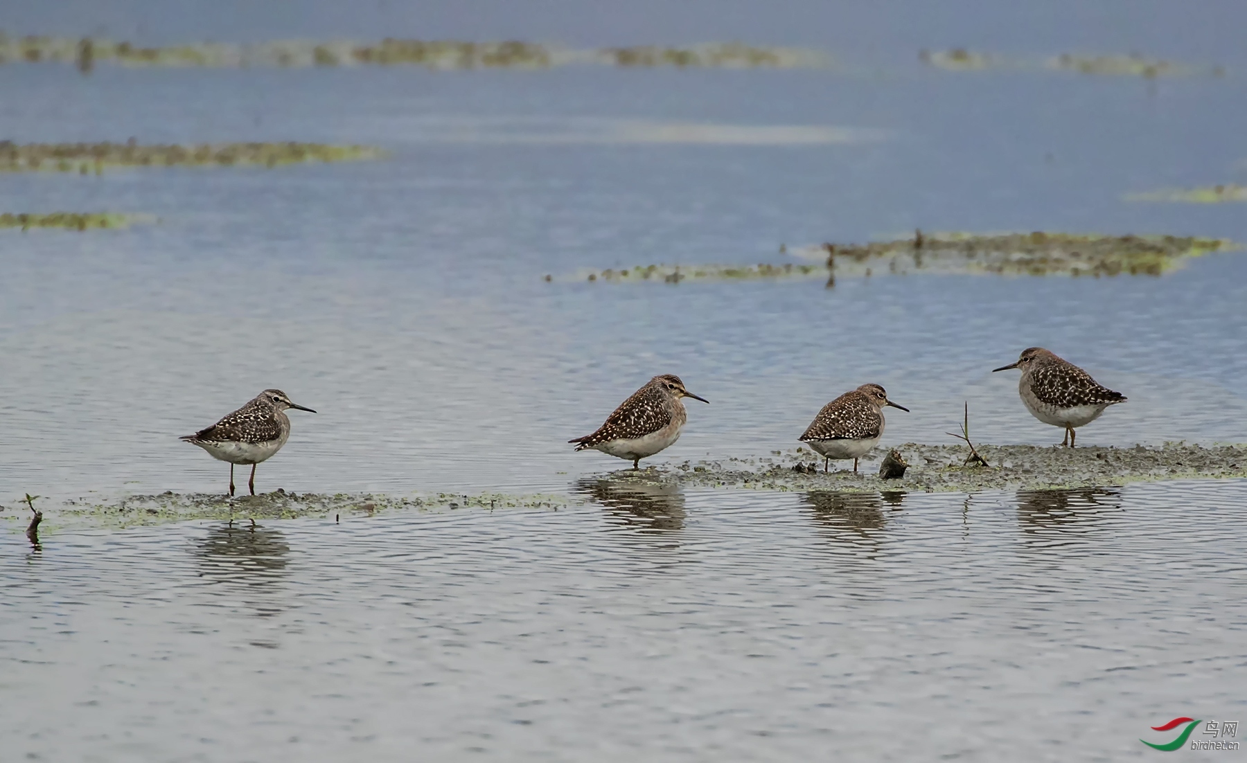 ����Ʈ��w ��ʦ�����ڽ���ʡ������.jpg