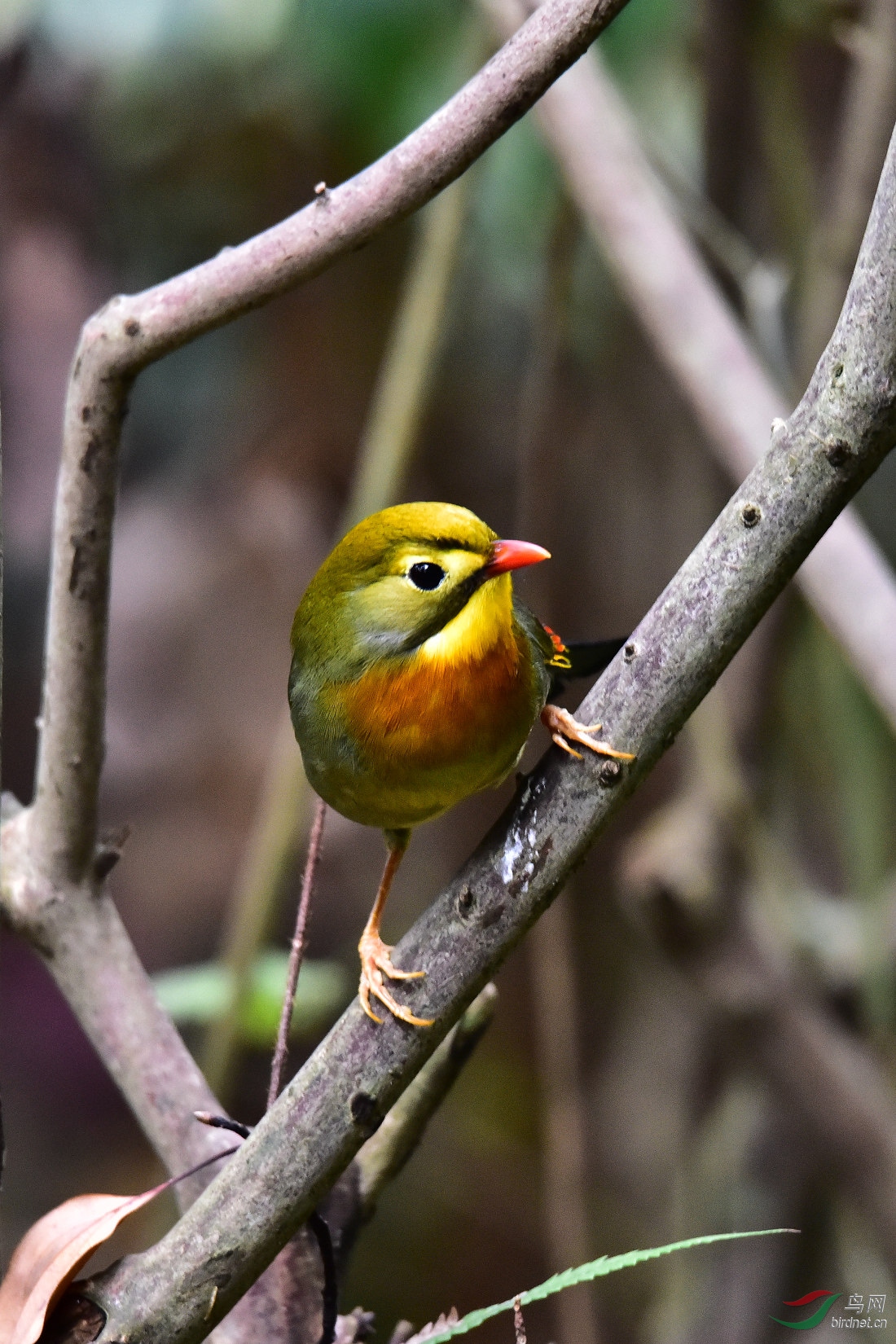 DSC_0687.JPG