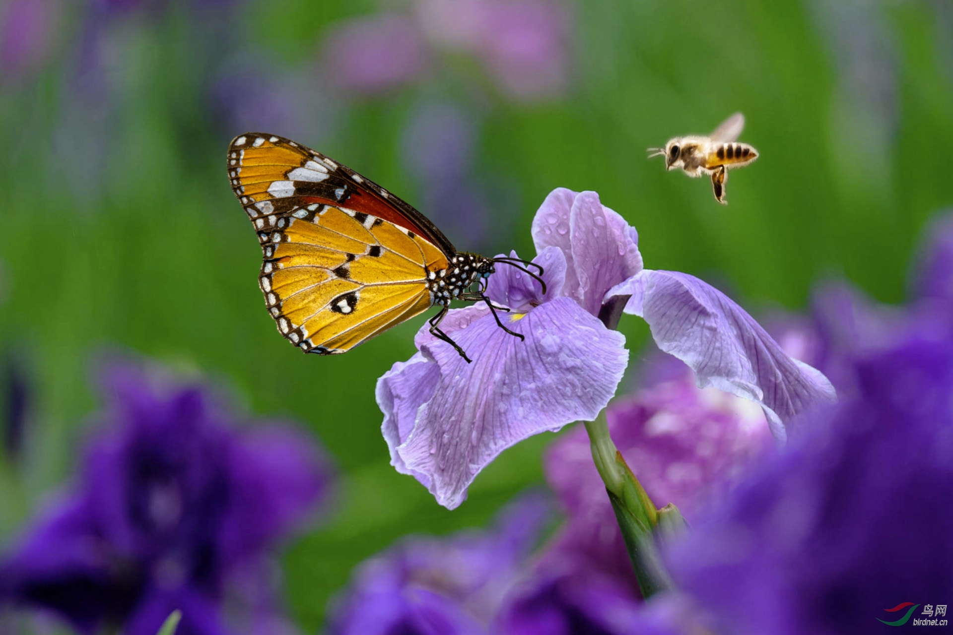 �������� 1920x500k.jpg