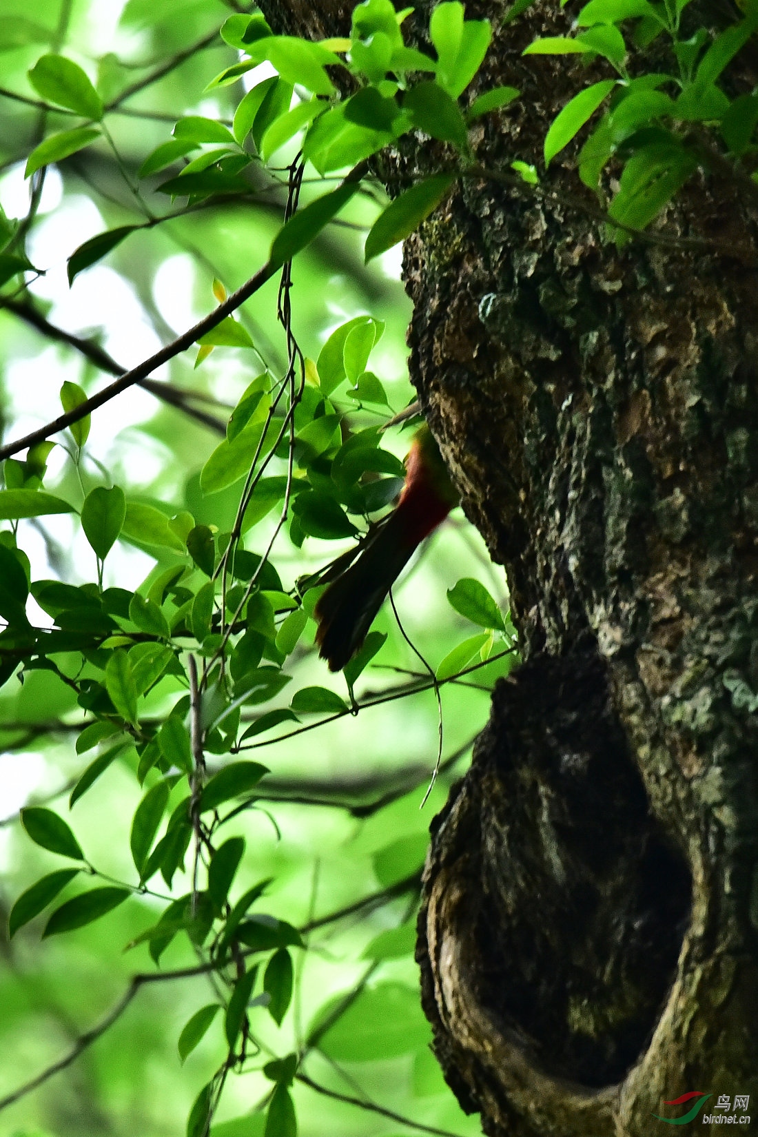 DSC_0045.JPG
