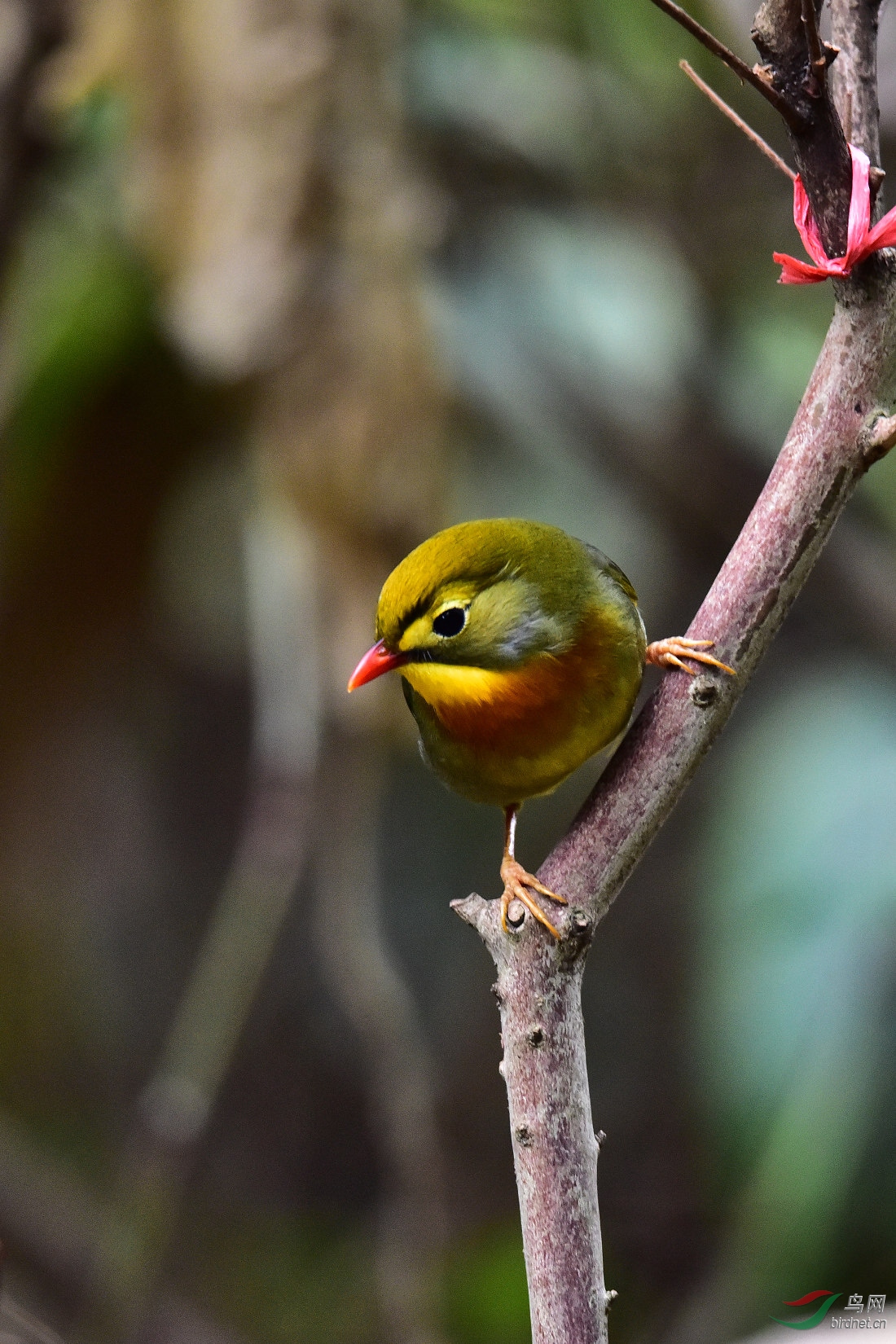 DSC_0691.JPG