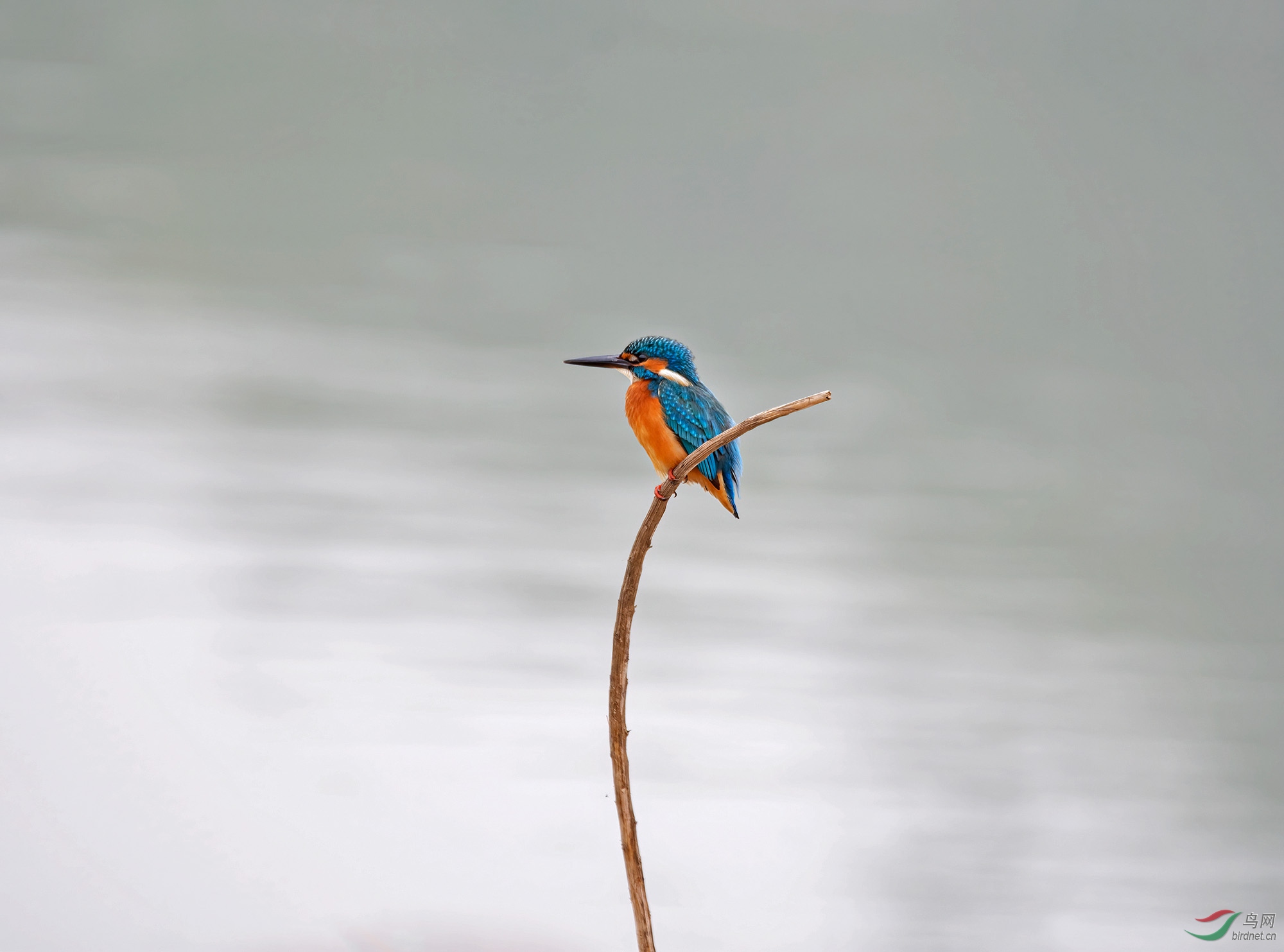DSC_7466.jpg