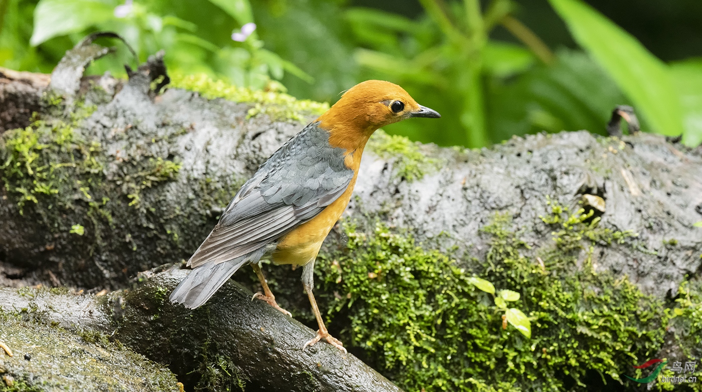 DSC_2109.jpg