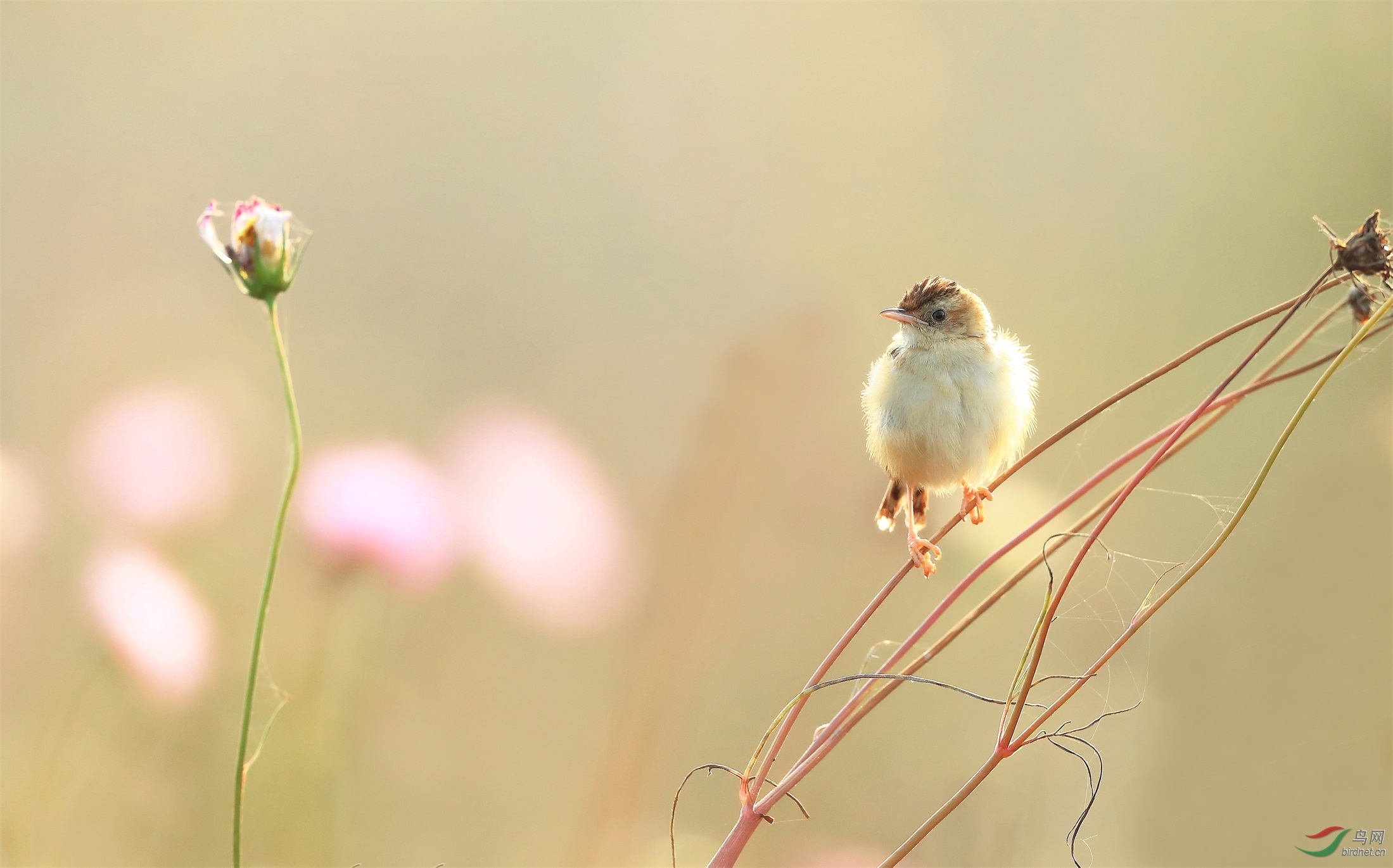 22 - ���� (2).jpg