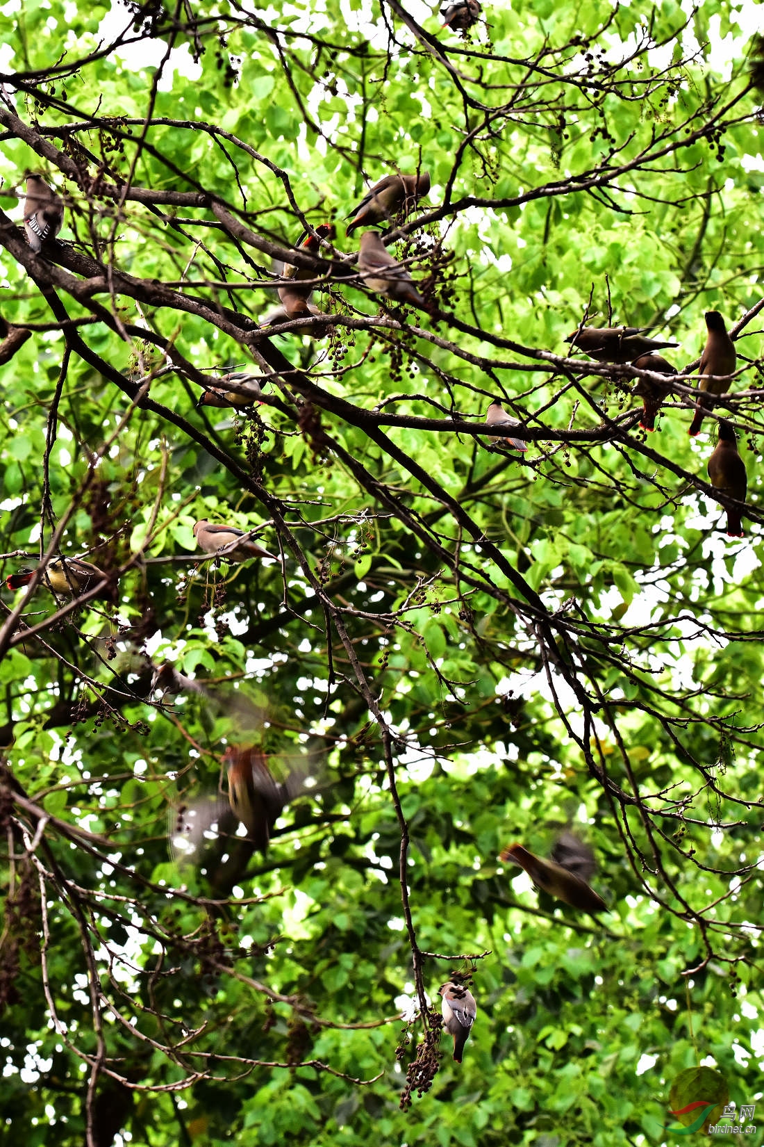 DSC_0708.JPG