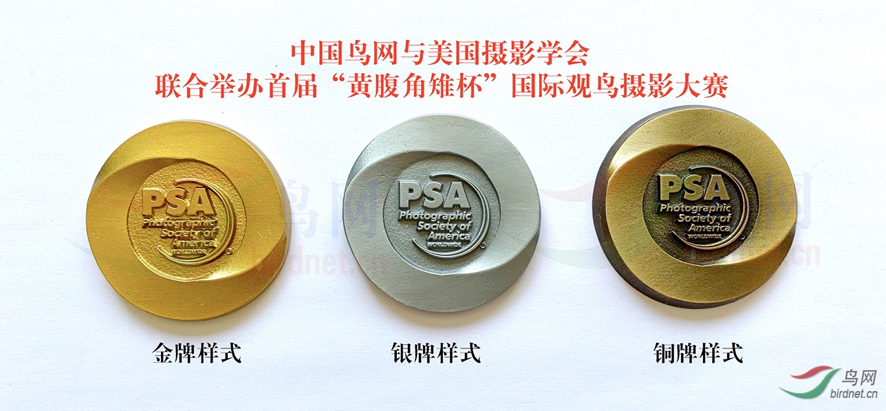 mmexport1602412569985.jpg