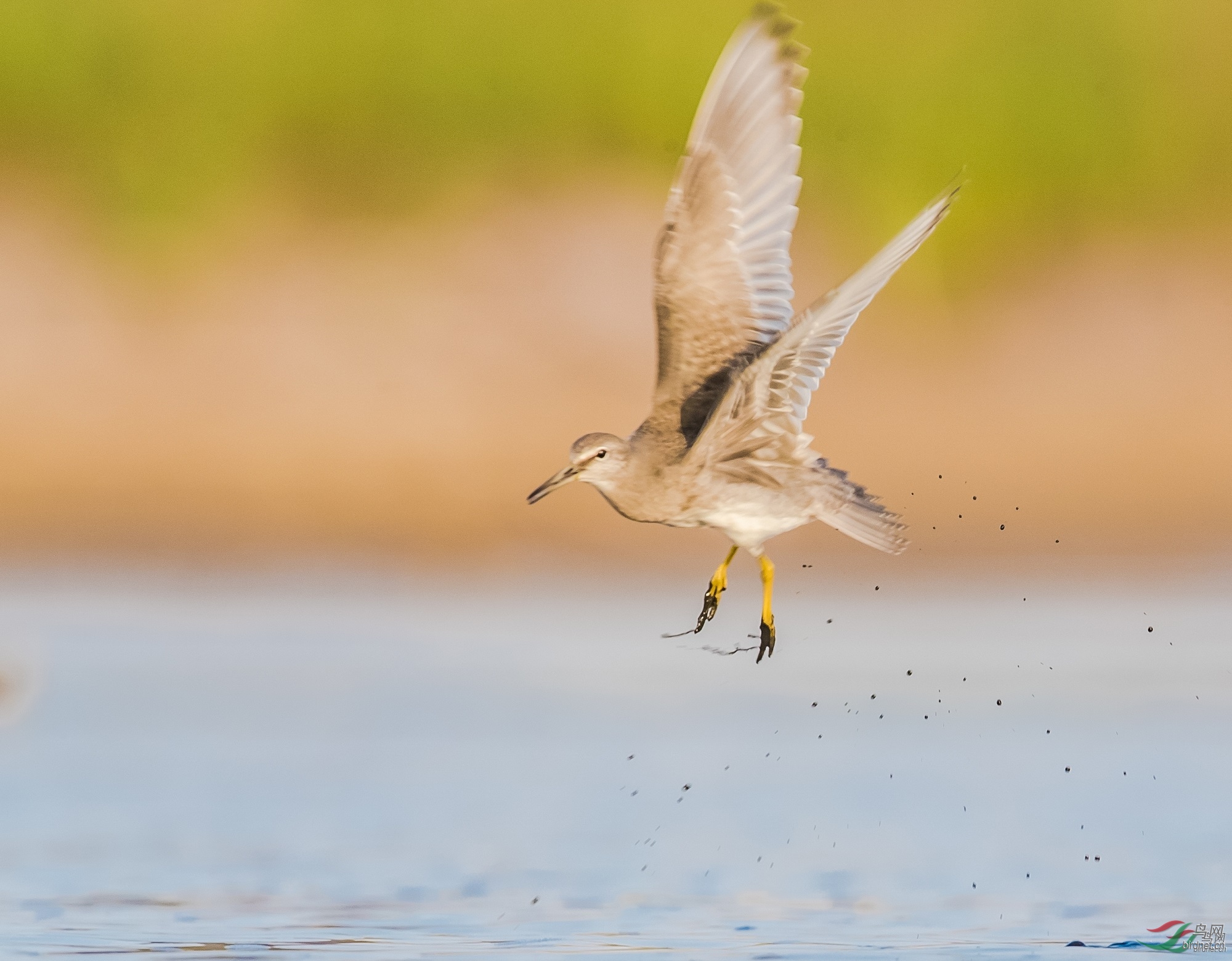 �����~�춣�� ��ʦ������ɽ��ʡ �ൺ�н�����500.jpg