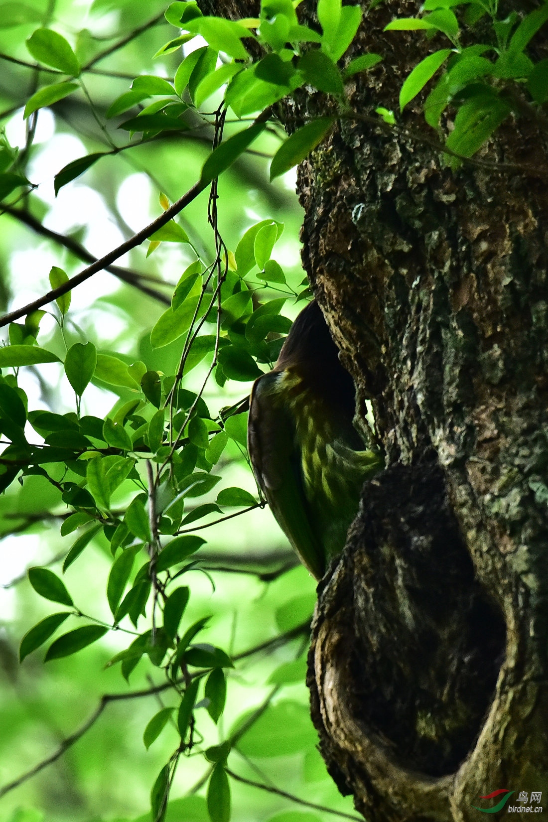 DSC_0048.JPG