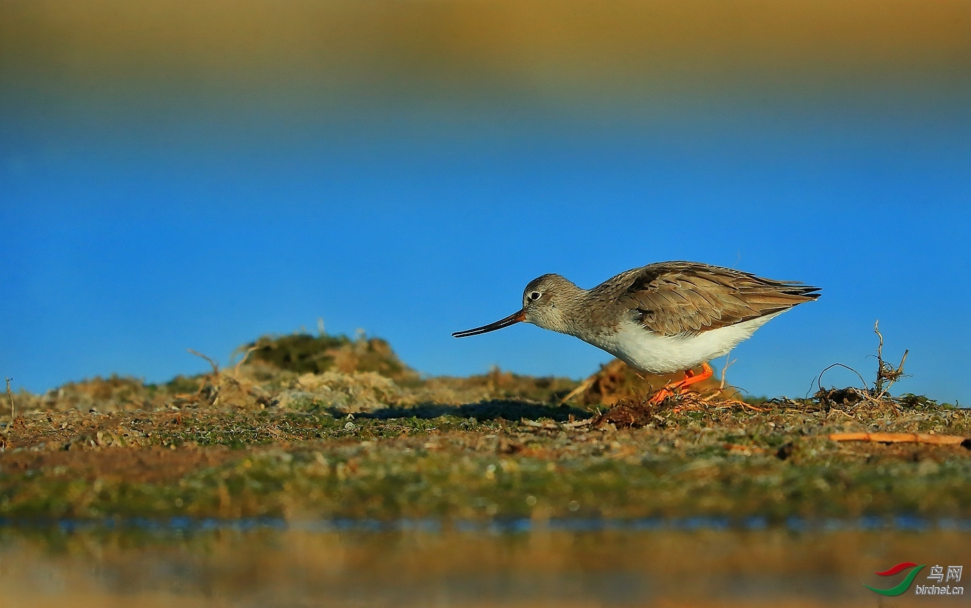 �����۽� ��ʦ�����ںӱ�ʡ�żҿ���.jpg