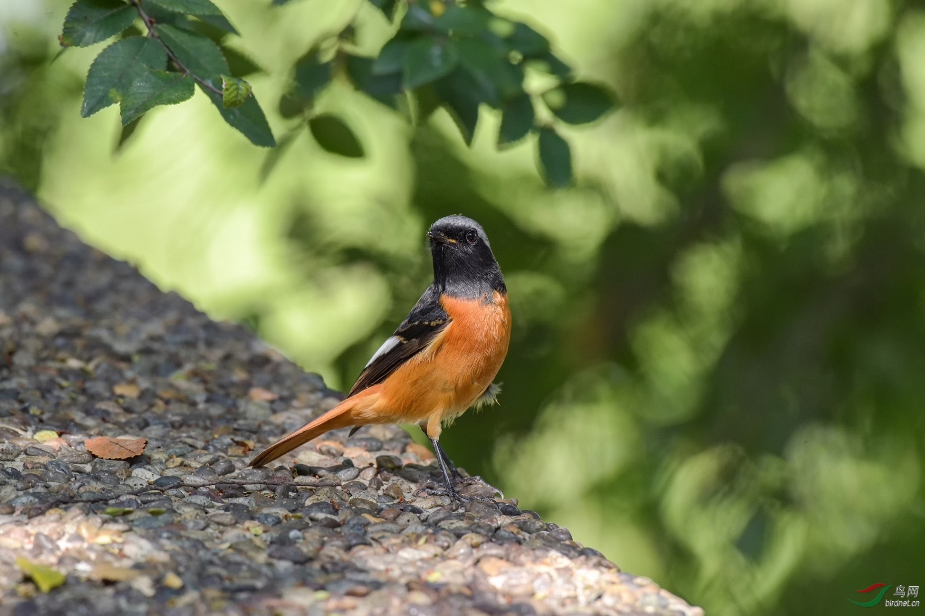 DSC_1114.jpg