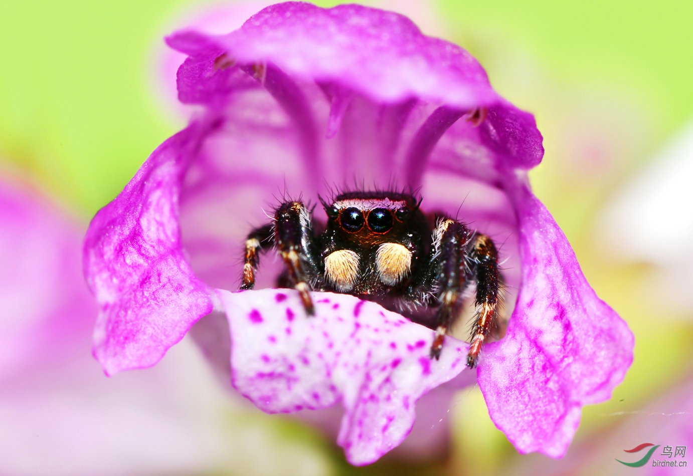 DSC_9395.JPG