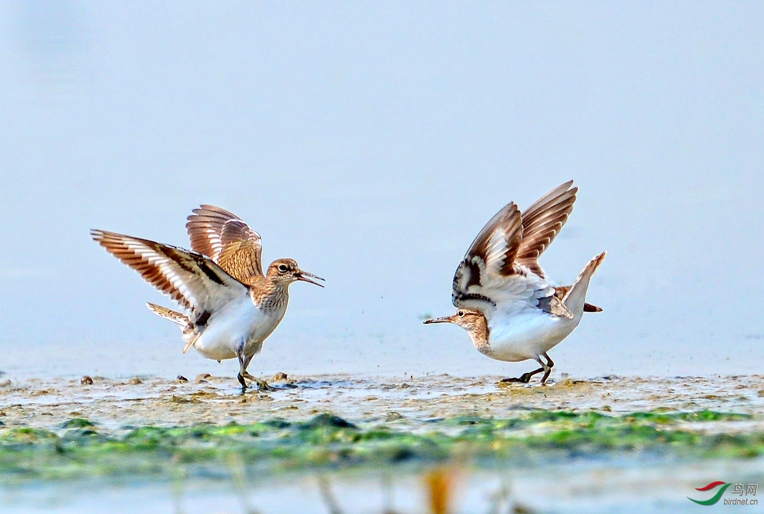 ��ͷ��69 ��ʦ����.jpg